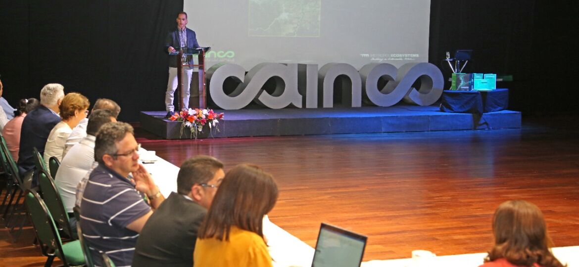 diamante de santa cruz