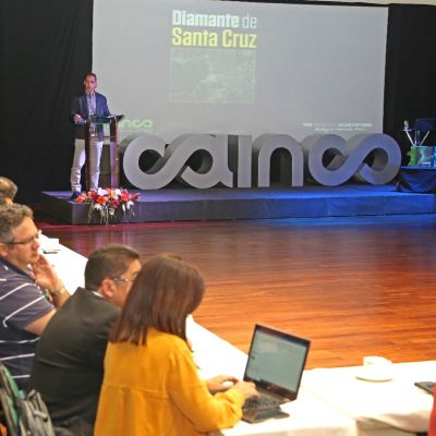 diamante de santa cruz