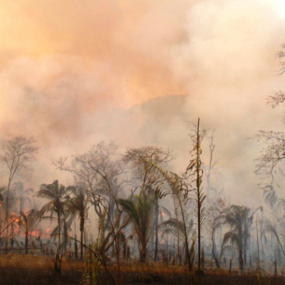 c-incendio-chiquitania-400895-64D0