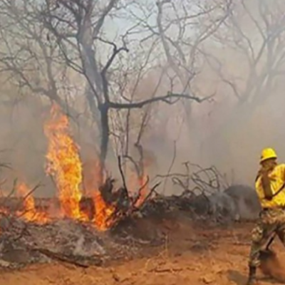incendios-forestales-bolivia-400559-0F02