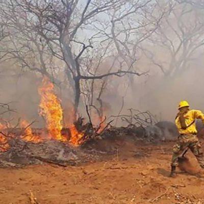 incendios forestales Bolivia