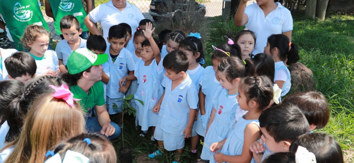 Reforestación