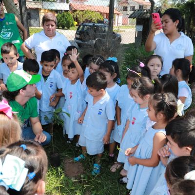 Reforestación