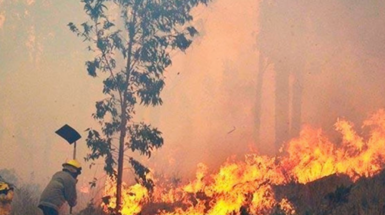 c-c-incendio-chiquitania-bolivia-400978-0bb2-403914-039E