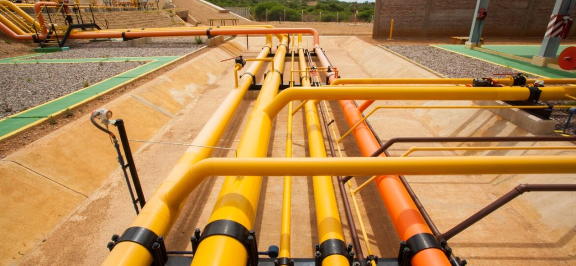 WhatsApp Image 2020-06-10 at 09.14.10 (1)