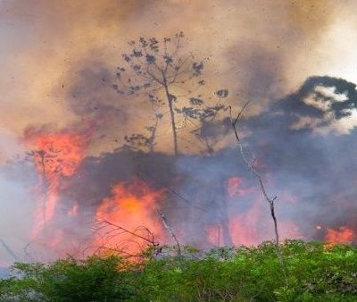 incendios-getty-images-compressor_1.jpg_1025562229