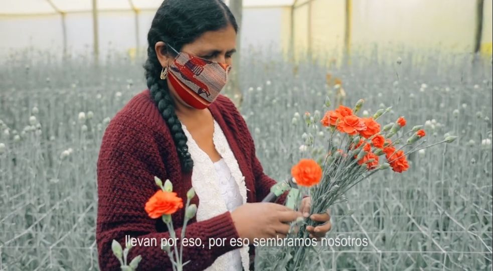 Florista
