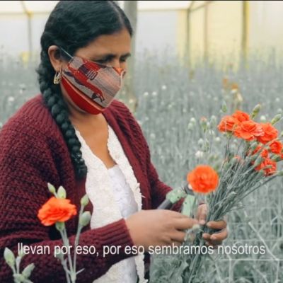 Florista
