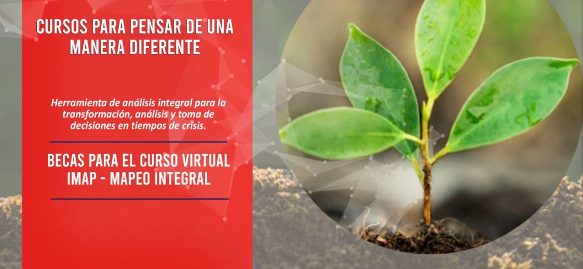 mapeo integral