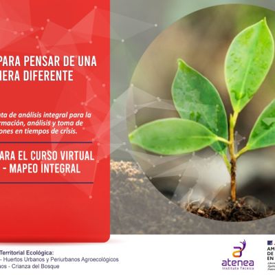 mapeo integral