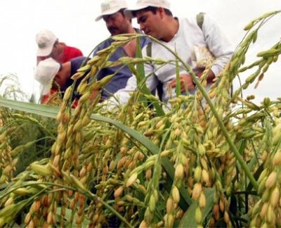 santacruz.agricultura_0