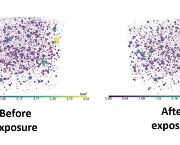 6042750c5d16b_1614968158_6042750c5d120