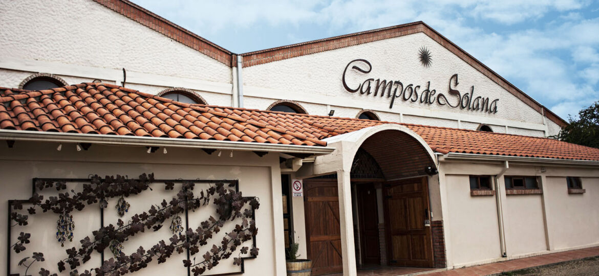 ©PC_VENDIMIA_2018_329-copia