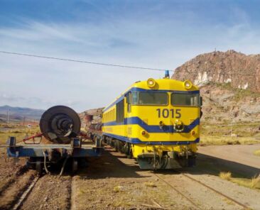 183780248_2684661585163268_2533686497478333606_n