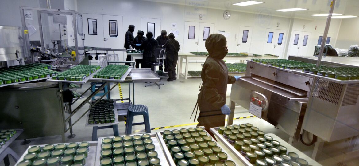 El Mentisan es una tradición de los hogares bolivianos