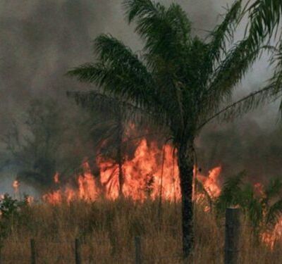 incendios.1.8-millones-750x375