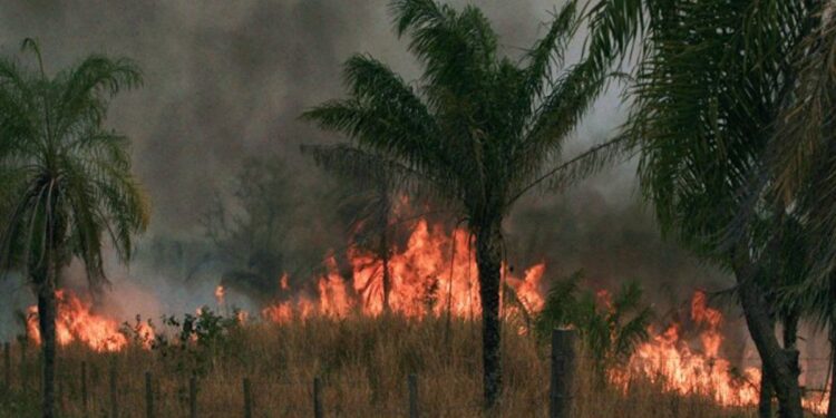 incendios.1.8-millones-750x375