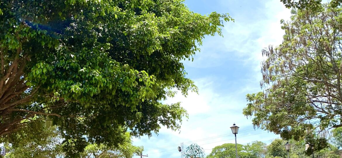 Pedaleada Porongo ok