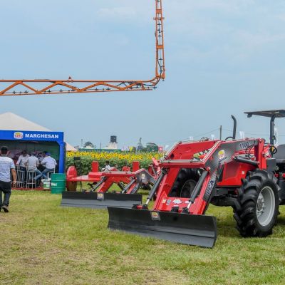 Tatú Marchesan Feria Vidas 2 (1)
