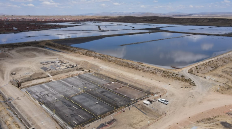 c-planta-418888-722A