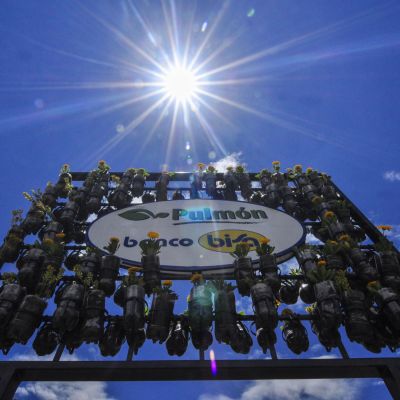 Arte Medio Ambiente 7