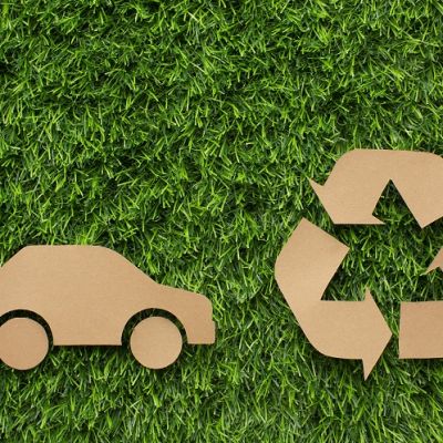 Día de la educación ambiental