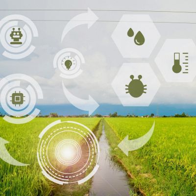 AgroTech ok