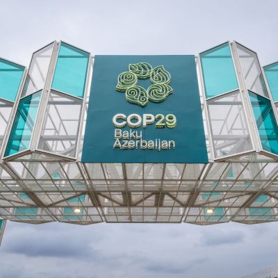 COP29 -1