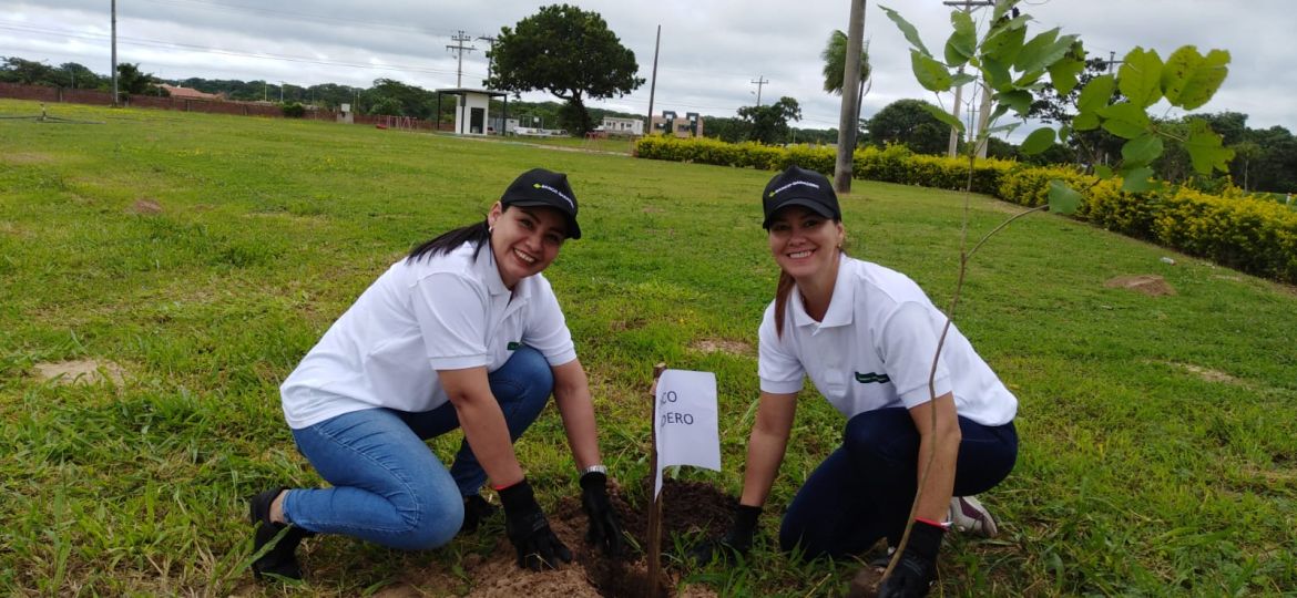 d3ab0ec1-8a8b-4bc9-9d1e-4789594f8ab8