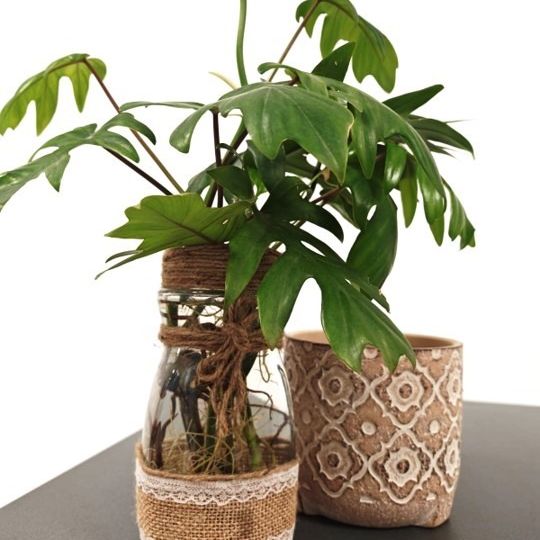 Reinventa tu Nescafé