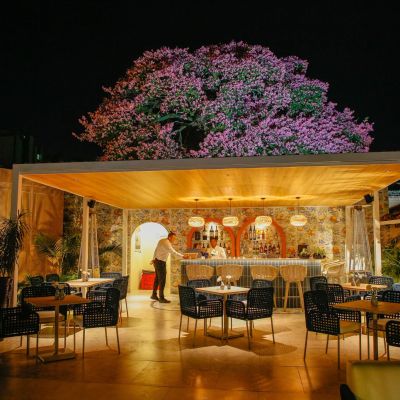 Jardín del Achachairú